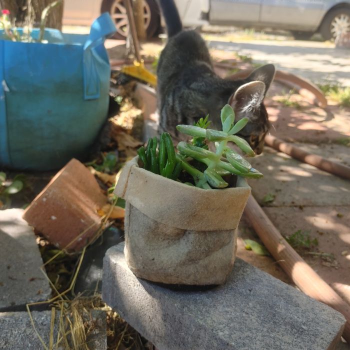 In Color Order: DIY Fabric Grow Bags