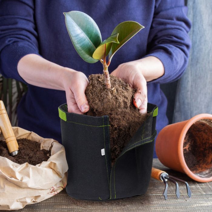 247Garden 2-Gallon Tall Aeration Fabric Pot/Tree Grow Bag (Black w/Green  Handles)