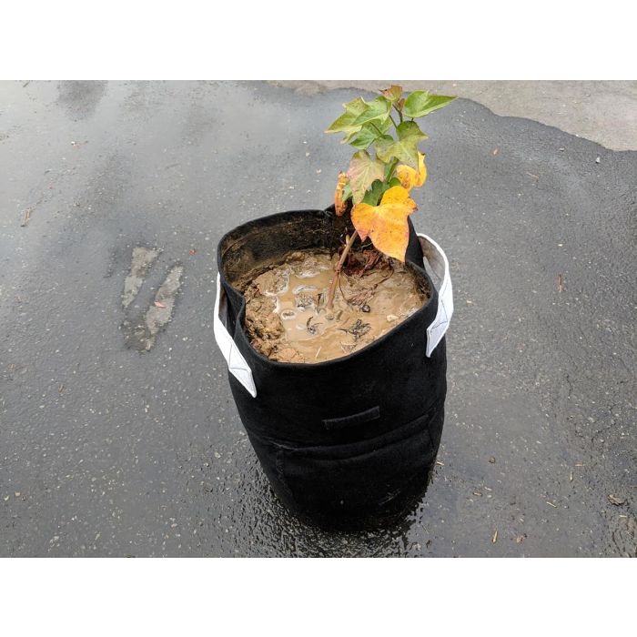 247Garden 40-Gallon Aeration Fabric Pot/Plant Grow Bag w/Handles