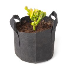 247Garden's The Ogre's Ear Bonsai Tree Kit w/1-Gallon Black Aeration Fabric Pot w/Handles (Incl. 1pc Baby Jade Succulent Plant 3-4" Cutting w/Breatheable Grow Bag) - No Soil Included. 100% Satisfaction Guaranteed