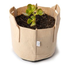 247Garden Lucky Money Bonsai Tree Kit w/1-Gallon Tan Aeration Fabric Pot+Handles (Included 1pc Baby Jade Succulent Plant Cutting 3-4" +BPA-Free Breatheable Grow Bag) - No Soil Incl. w/100% Satisfaction Guaranteed