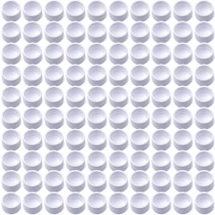 100pcs 3/4 in. PVC End Caps ASTM SCH40 Furniture-Grade Fittings