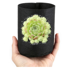 247Garden Sempervivum 'Edward Balls' Real Live Succulent Cactus Plant 65mm/2.5" Single-Head +1/4 Gallon Basic Aeration Fabric Pot/Plant Grow Bag (Black Color, 200GSM, 5H x 4D)