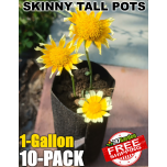247Garden 1-Gallon Skinny Tall Black Fabric Pot/Deep Aeration Plant Grow Bag 5D x 12H 10-Pack