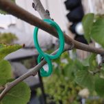 247Garden Plastic Locking Clip/Clamp for Plant/Tomato/Flower Support