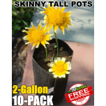 247Garden 2-Gallon Skinny Tall Aeration Fabric Pot/Deep Aeration Plant Grow Bag 6D x 16H Black 10-Pack