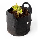 247Garden Lucky Money Bonsai Tree Kit w/1-Gallon Black Aeration Fabric Pot+Handles (Included 1pc Baby Jade Succulent Plant Cutting 3-4" +BPA-Free Breatheable Grow Bag) - No Soil Incl. w/100% Satisfaction Guaranteed