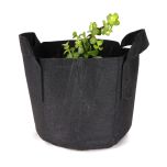 247Garden Magic Carbon Trap Bonsai Tree Kit w/1-Gallon Black Aeration Fabric Pot (-No Soil Included)