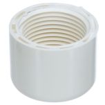 3/4 in. Schedule 40 PVC Female Cap NSF Pipe Fitting SCH40 ASTM D2466