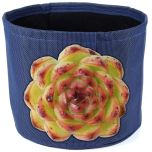 247Garden Echeveria 'Moon Stone' Succulent Plant Cutting 90mm/3.5" +One Gallon Textilene Aeration Fabric Pot/Grow Bag Blue Indigo