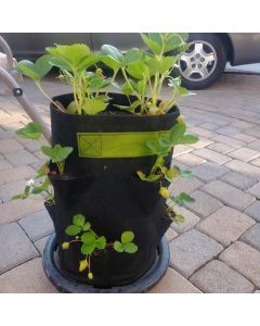 247Garden Aeration Strawberry Grow Bag w/Handles, 260GSM Black Fabric Pot w/Multiple Pockets 5-15 Gallon Size
