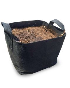 247Garden 5-Gallon Tall Aeration Fabric Pot/Tree Grow Bag, Black w/Green  Handles 15H x 10D 5-Pack